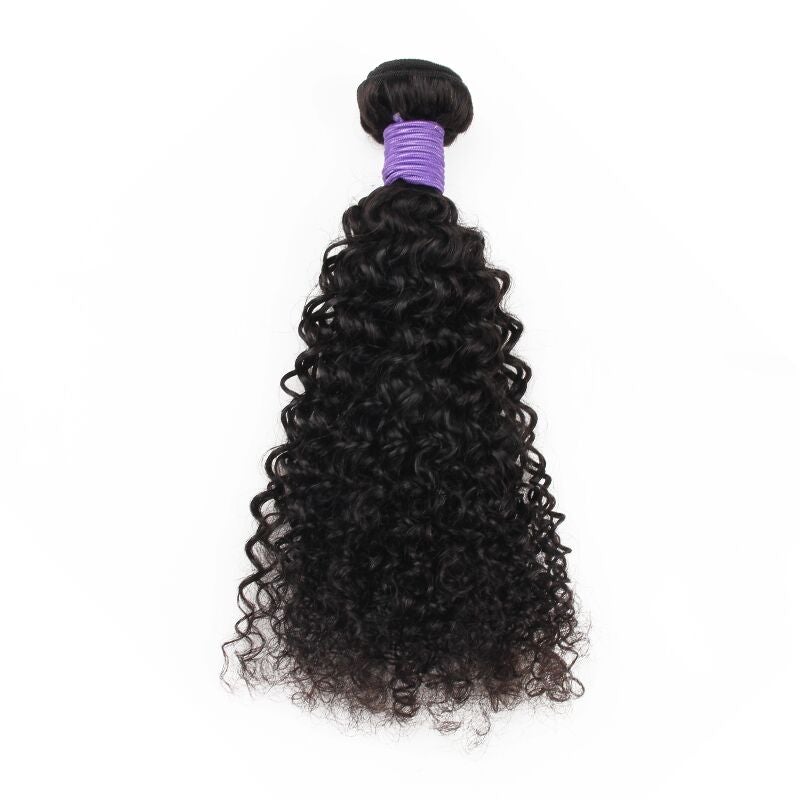 SIRIUS SASSY MALAYSIAN CURL   - SINGLE DEAL